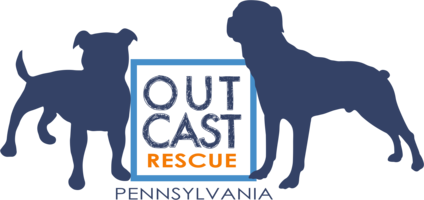 Outcast Rescue